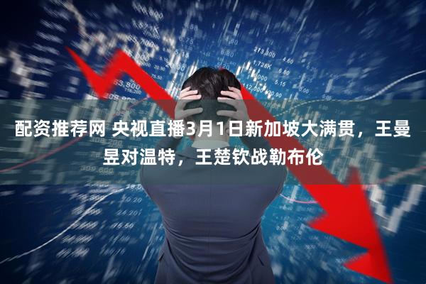 配资推荐网 央视直播3月1日新加坡大满贯，王曼昱对温特，王楚钦战勒布伦