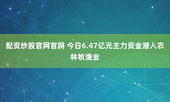 配资炒股官网官网 今日6.47亿元主力资金潜入农林牧渔业