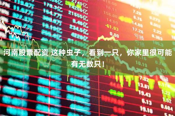 河南股票配资 这种虫子，看到一只，你家里很可能有无数只！